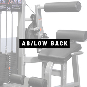 MuscleD Dual Ab / Low Back