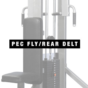 MuscleD Dual Pec Fly / Rear Delt